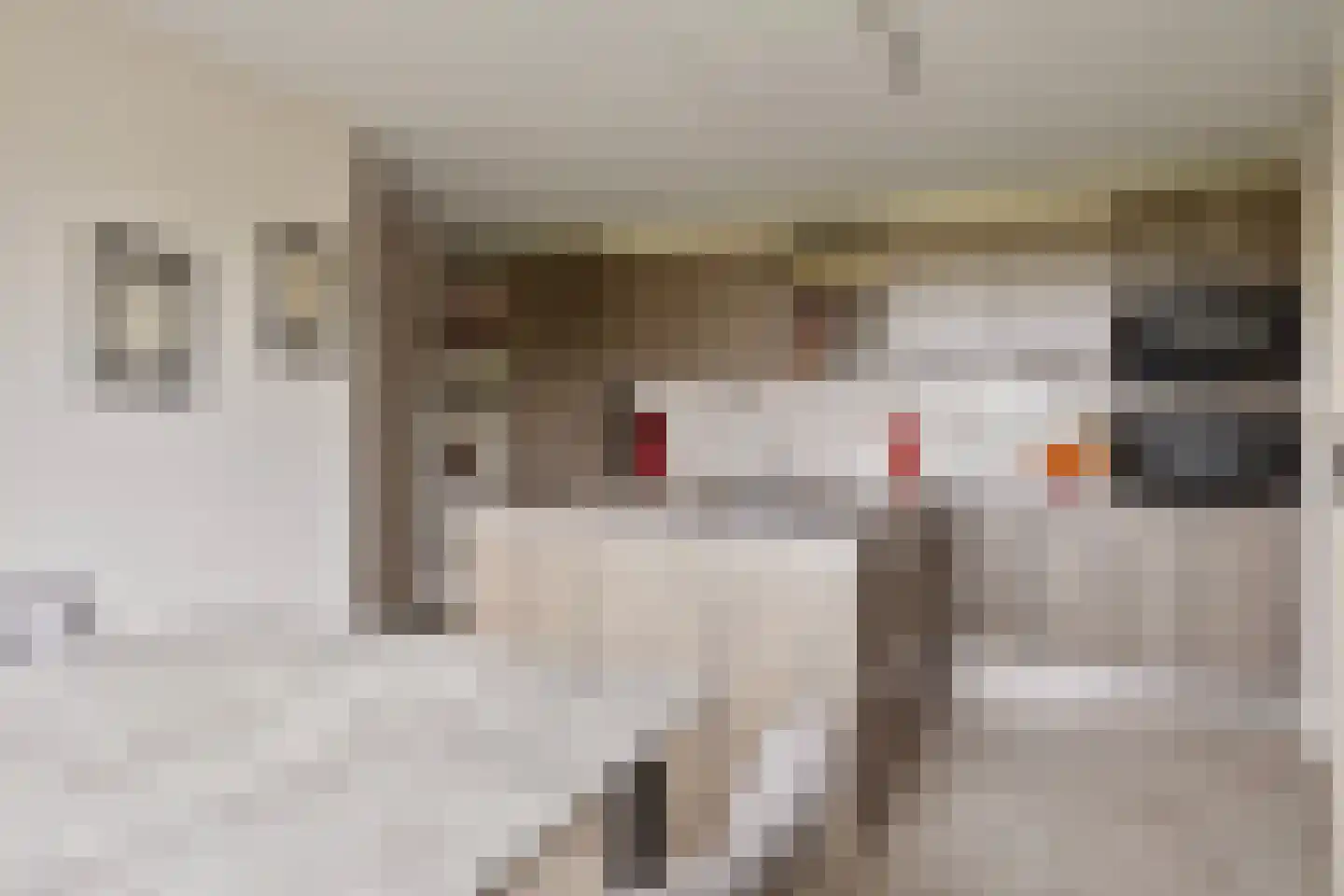 Cambronsestraat 5 Vogelwaarde thumbnail 17