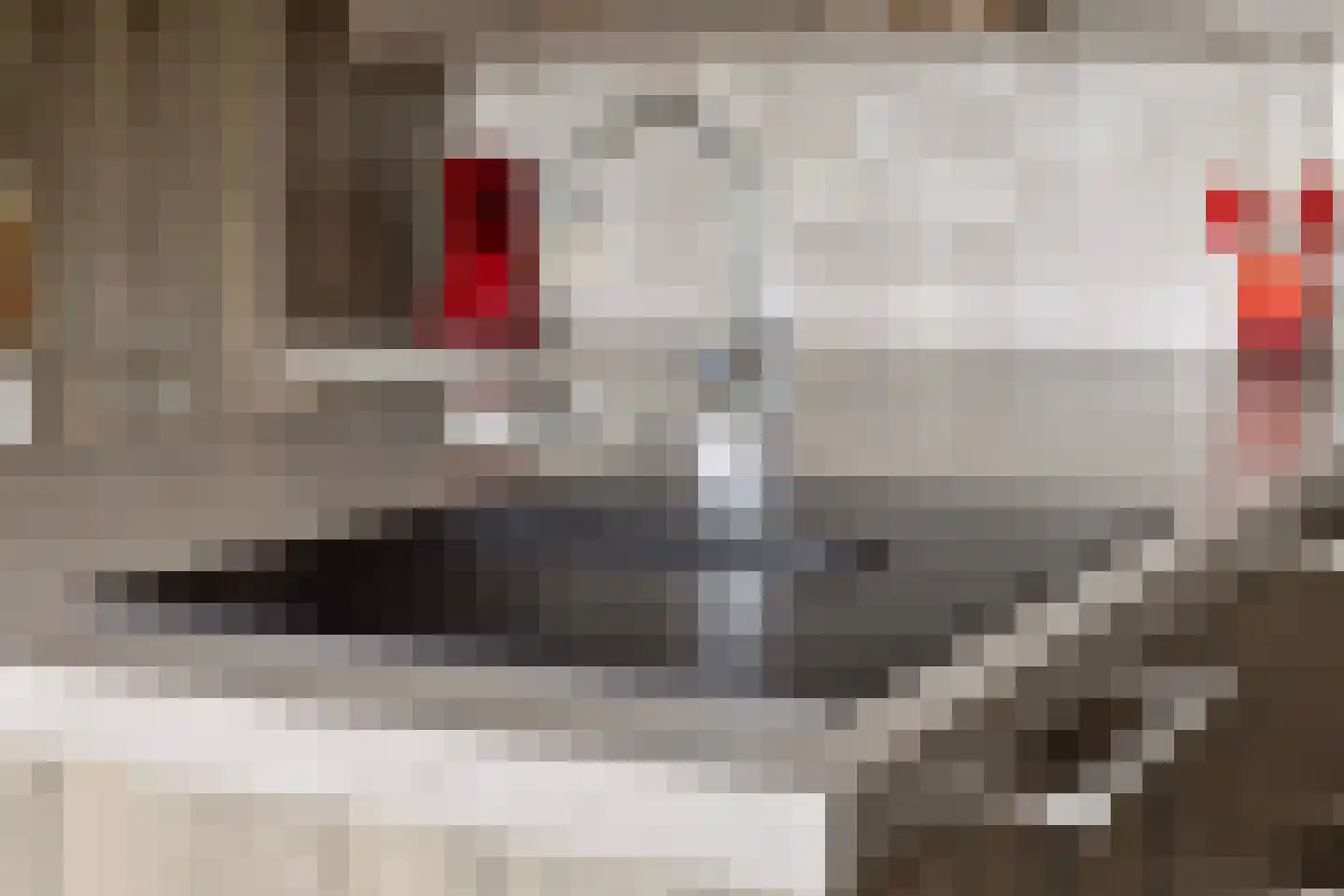 Cambronsestraat 5 Vogelwaarde thumbnail 19