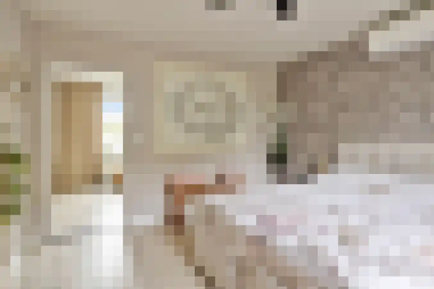 Cambronsestraat 5 Vogelwaarde thumbnail 24