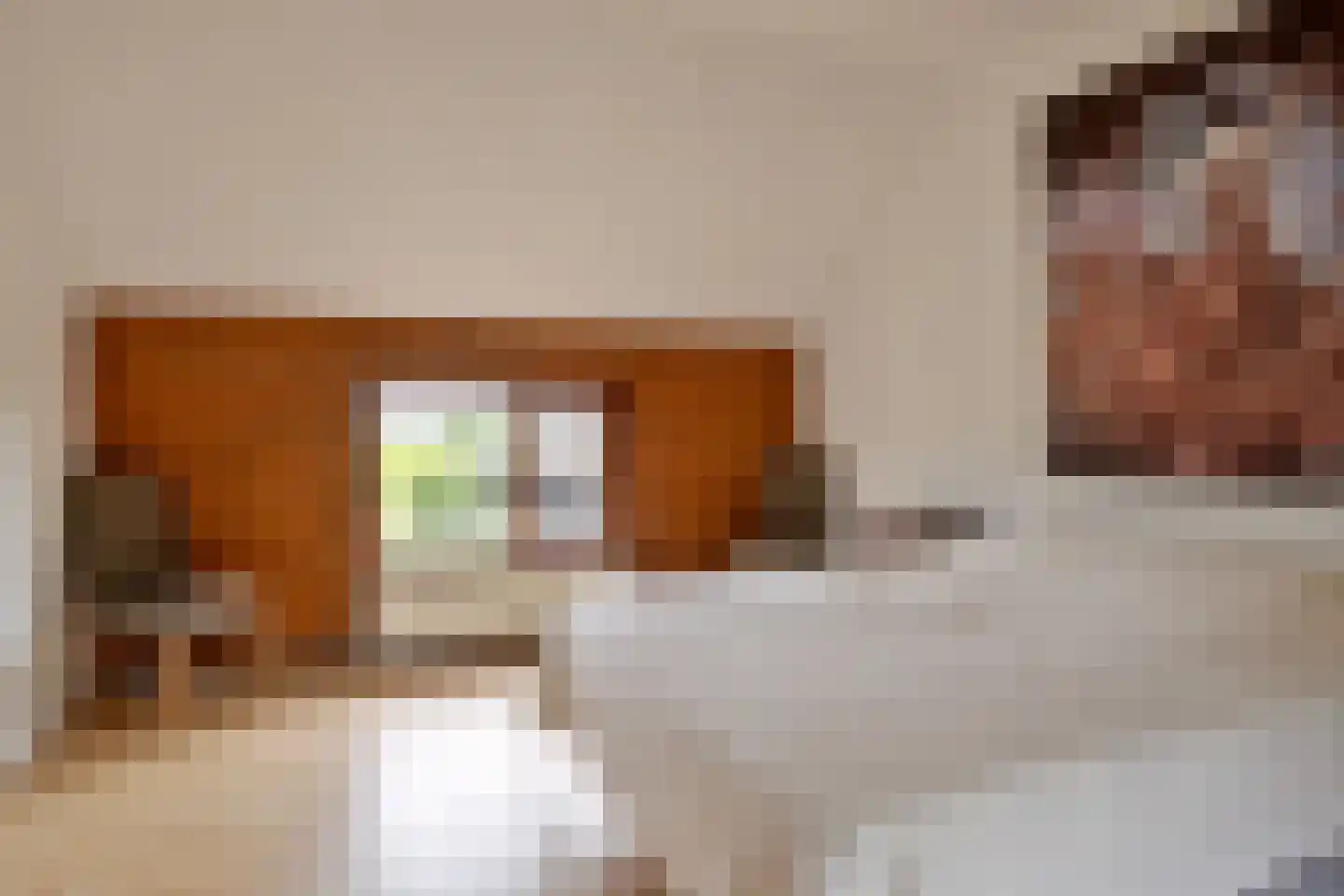 Cambronsestraat 5 Vogelwaarde thumbnail 33