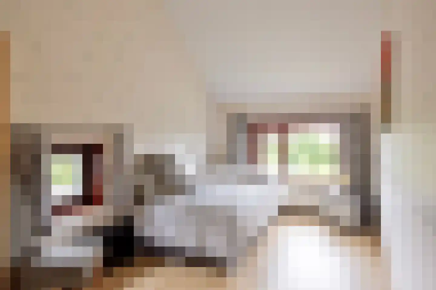 Cambronsestraat 5 Vogelwaarde thumbnail 34