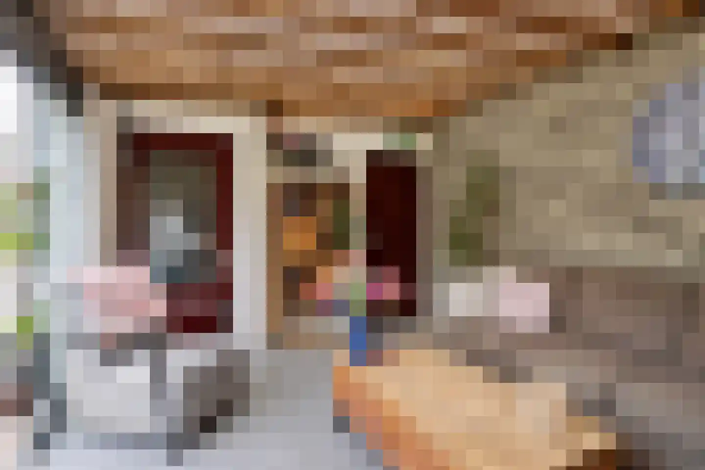 Cambronsestraat 5 Vogelwaarde thumbnail 36
