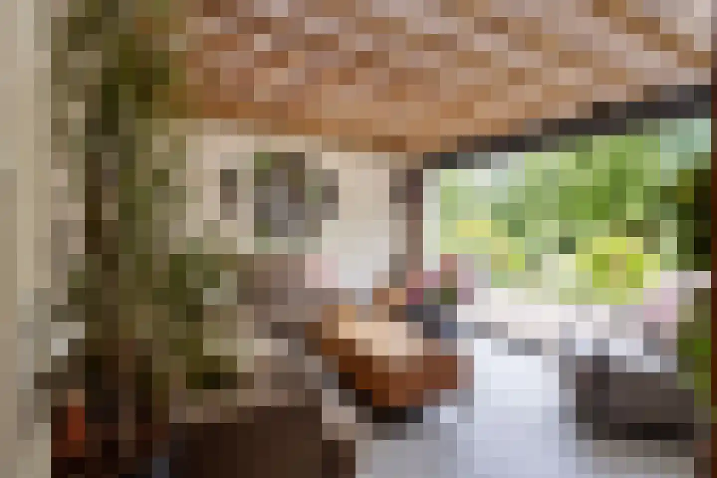 Cambronsestraat 5 Vogelwaarde thumbnail 37
