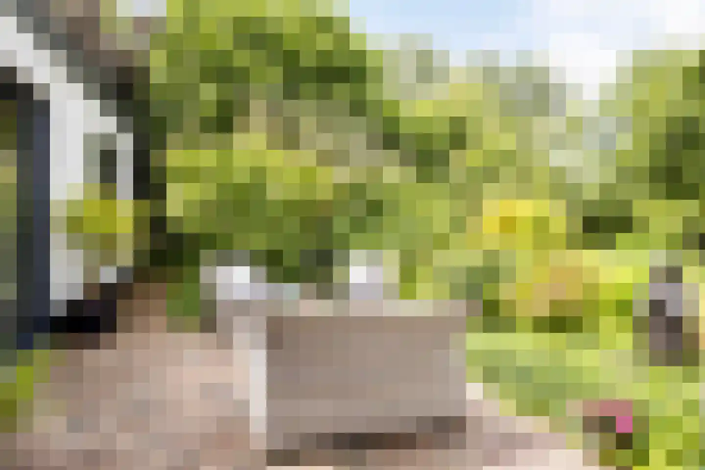 Cambronsestraat 5 Vogelwaarde thumbnail 38