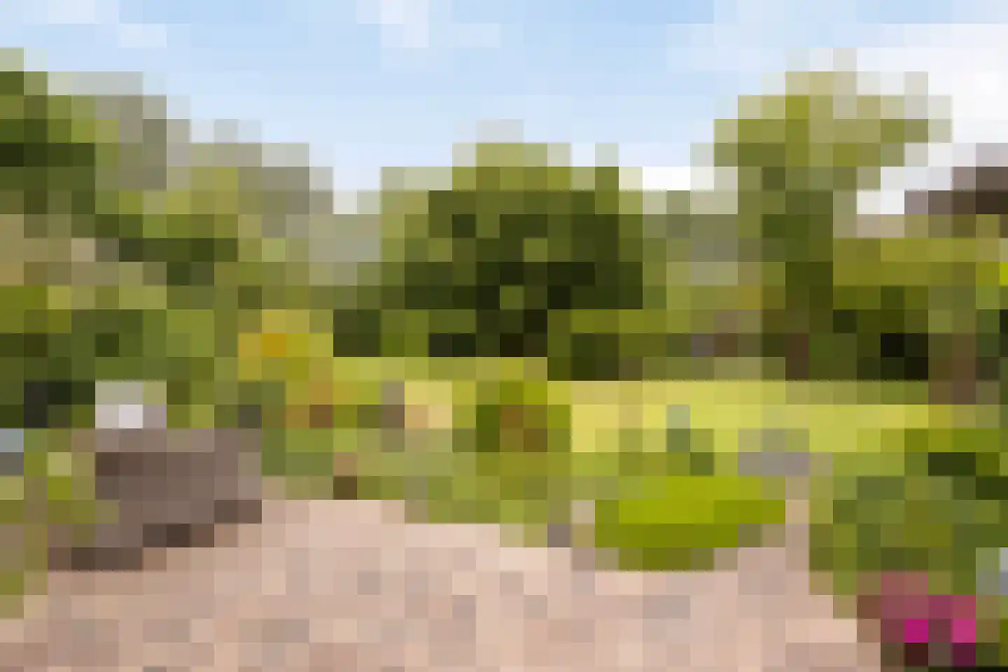 Cambronsestraat 5 Vogelwaarde thumbnail 39