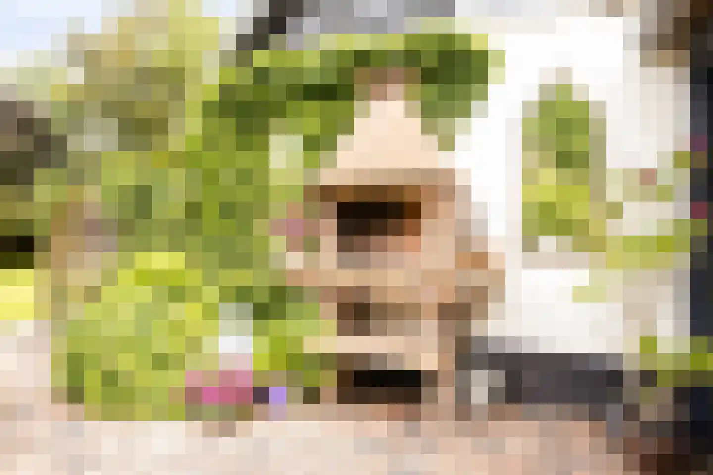 Cambronsestraat 5 Vogelwaarde thumbnail 40