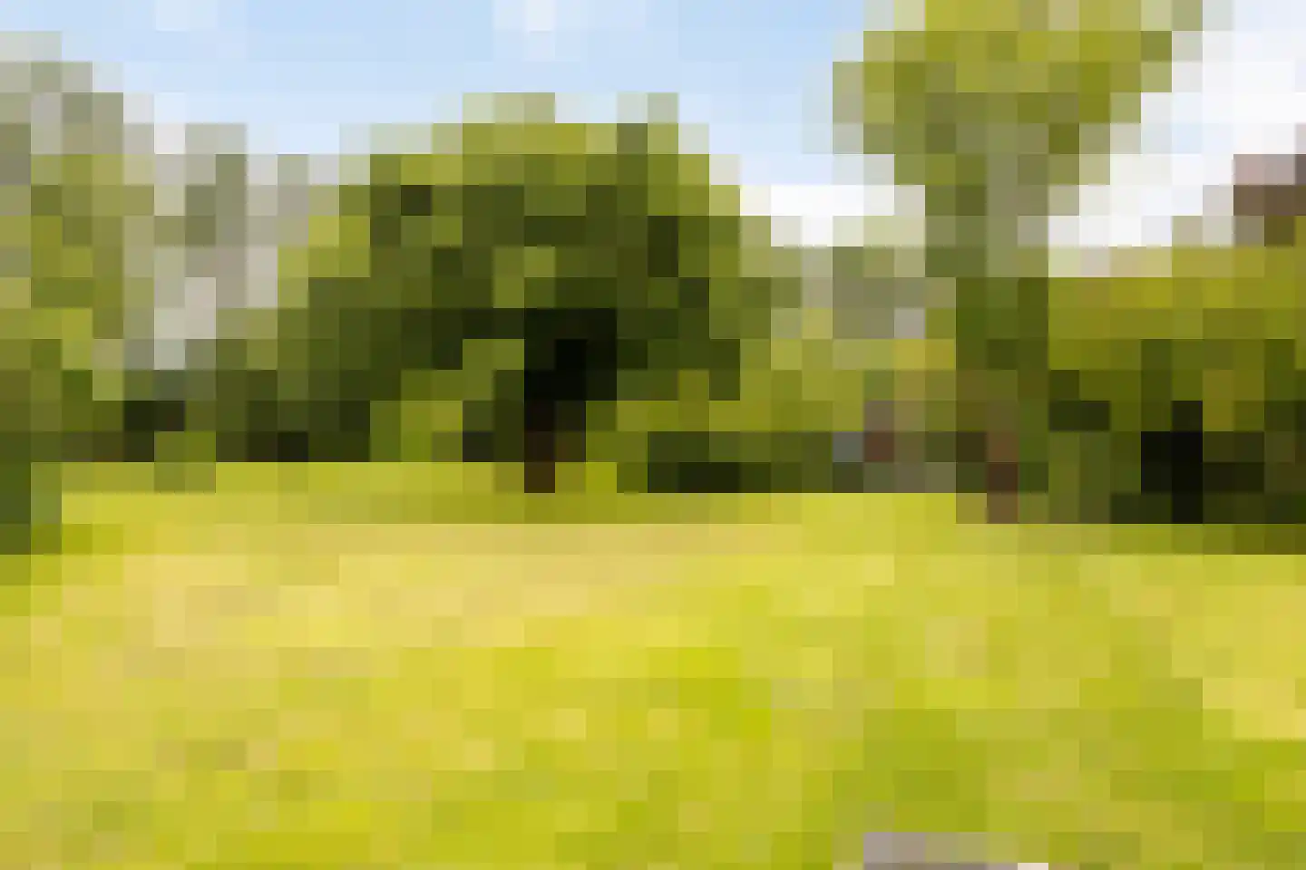 Cambronsestraat 5 Vogelwaarde thumbnail 41