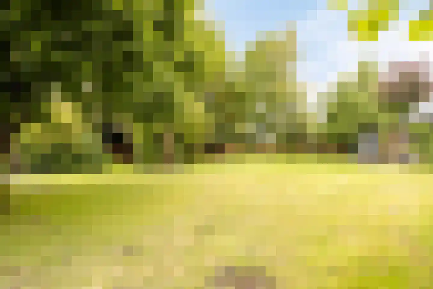 Cambronsestraat 5 Vogelwaarde thumbnail 42