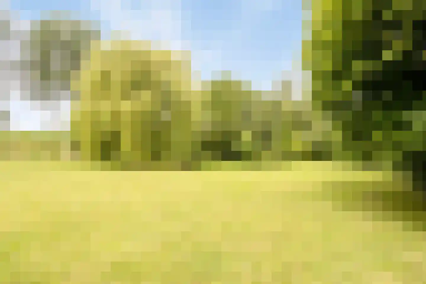 Cambronsestraat 5 Vogelwaarde thumbnail 43
