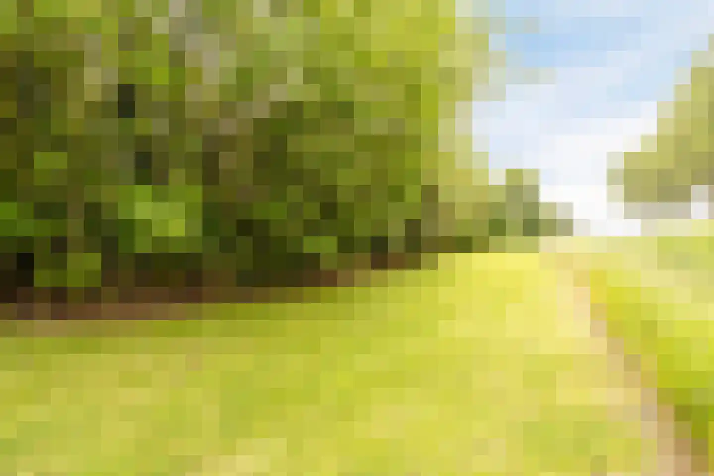 Cambronsestraat 5 Vogelwaarde thumbnail 45