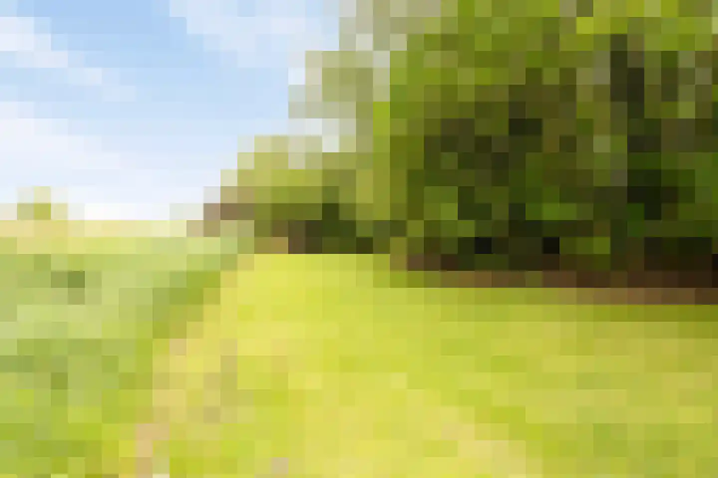 Cambronsestraat 5 Vogelwaarde thumbnail 46