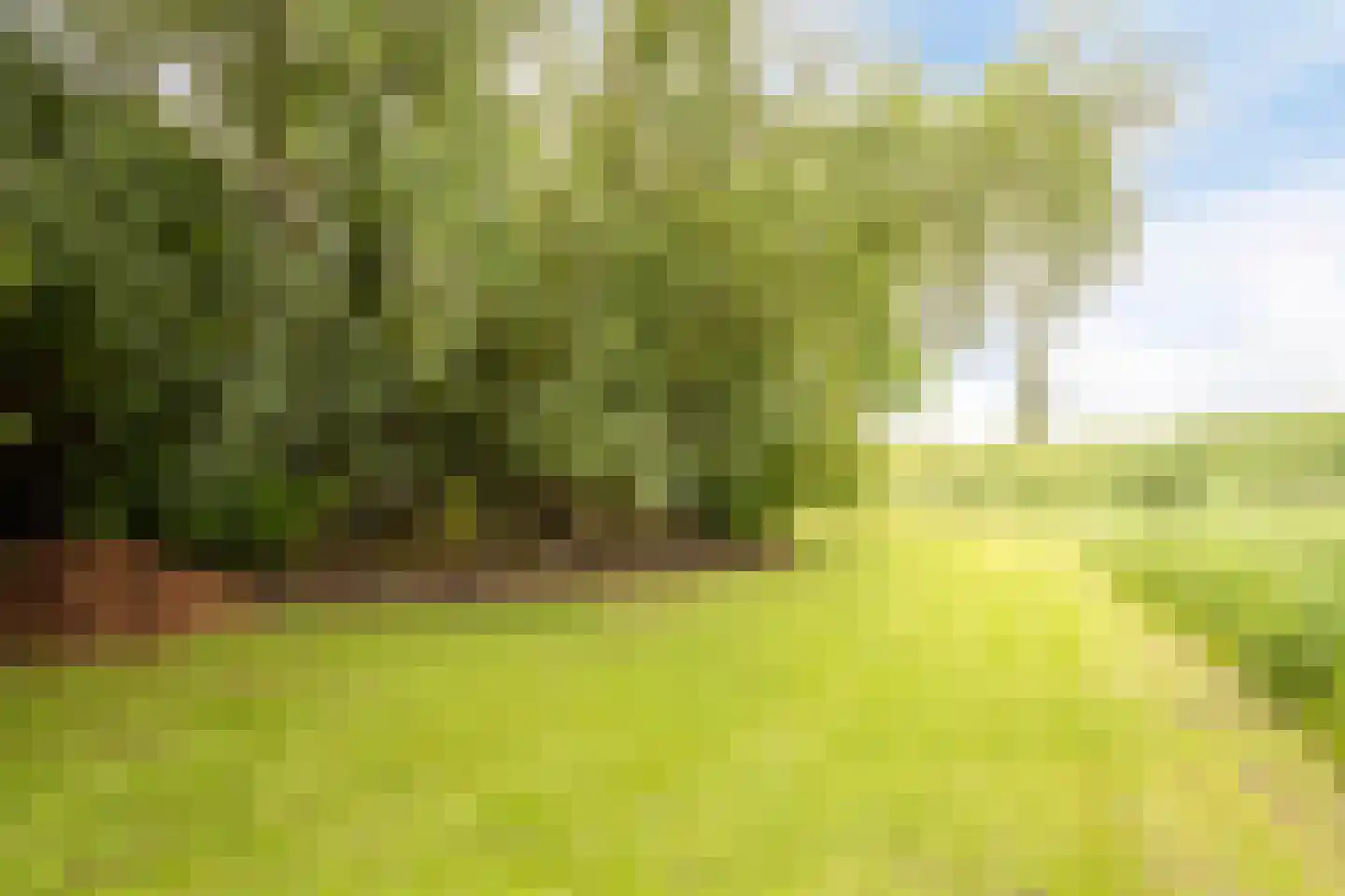 Cambronsestraat 5 Vogelwaarde thumbnail 47