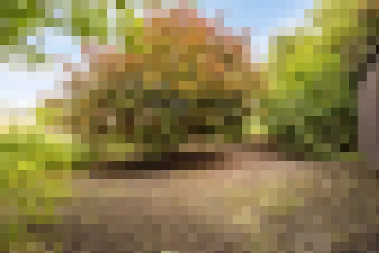 Cambronsestraat 5 Vogelwaarde thumbnail 48