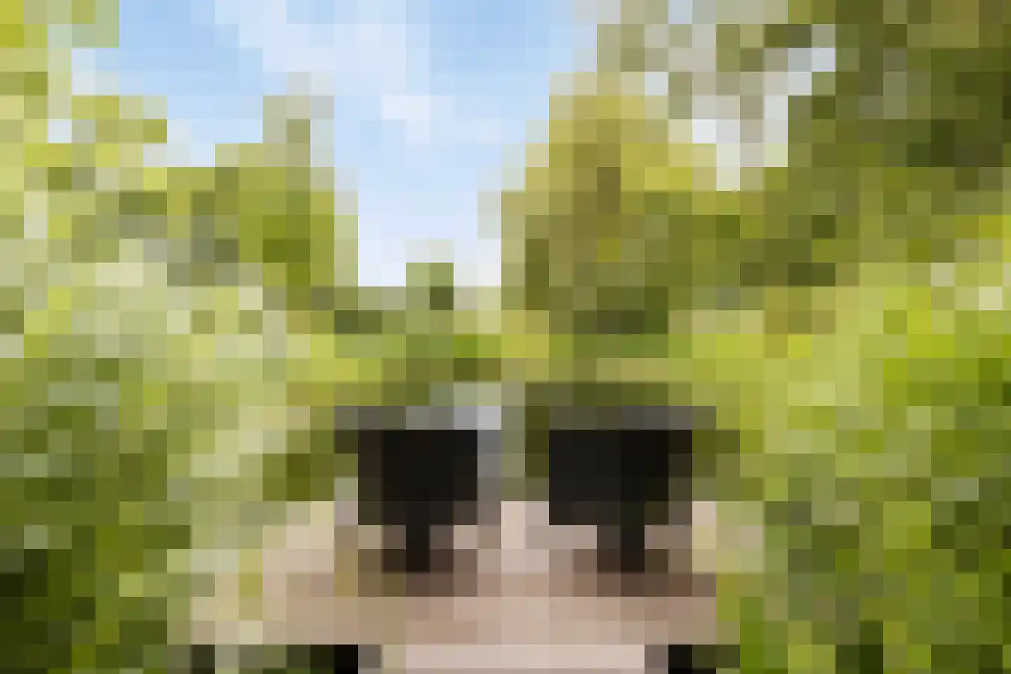 Cambronsestraat 5 Vogelwaarde thumbnail 50