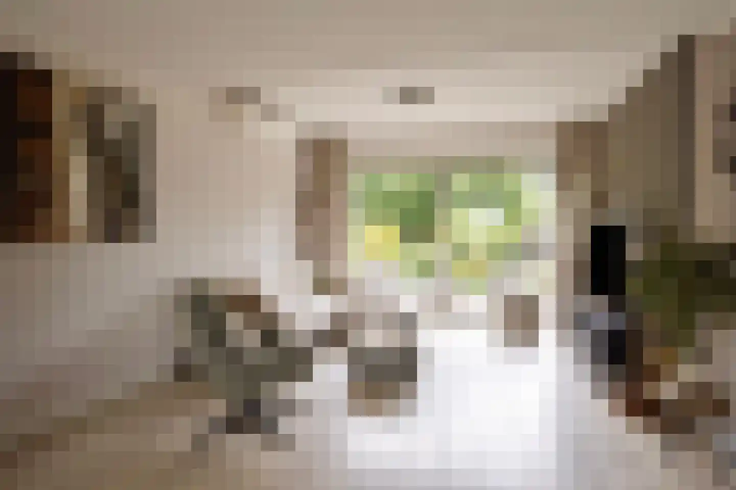 Cambronsestraat 5 Vogelwaarde thumbnail 9
