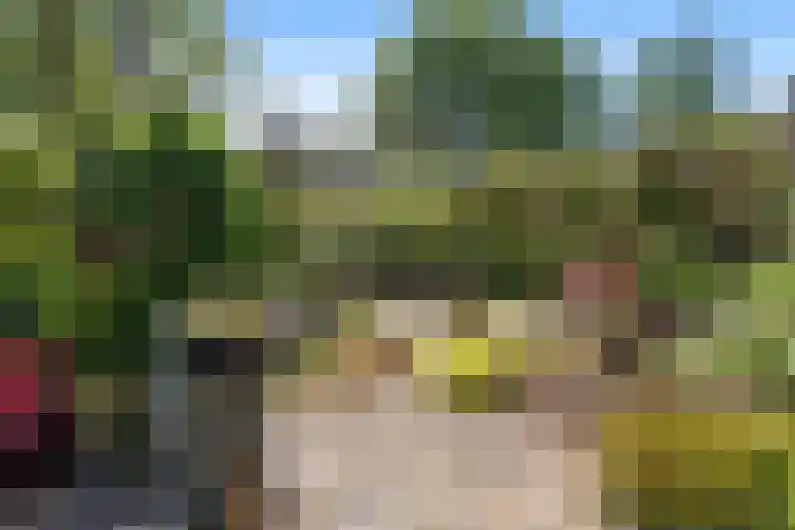 Cameliadal 3 Leiden thumbnail 4