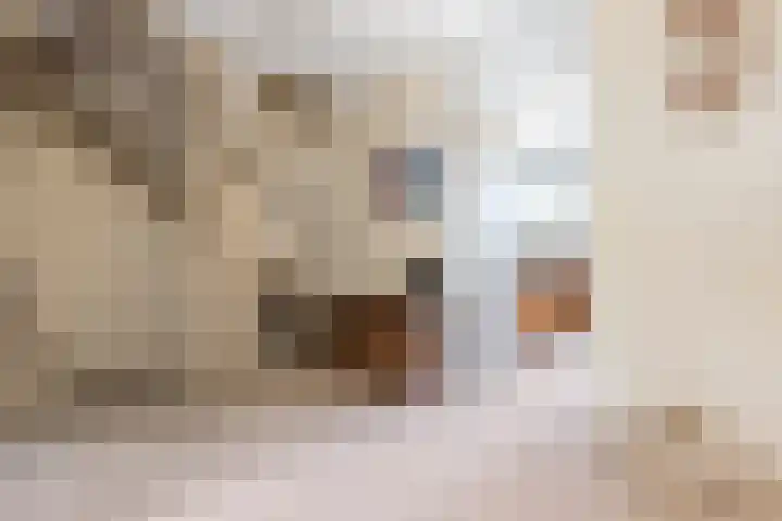 Cameliadal 3 Leiden thumbnail 42