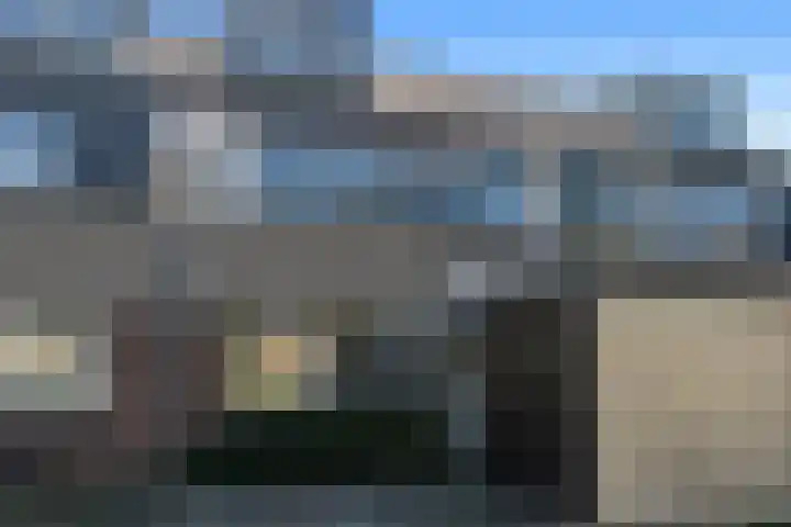 Cameliadal 3 Leiden thumbnail 5
