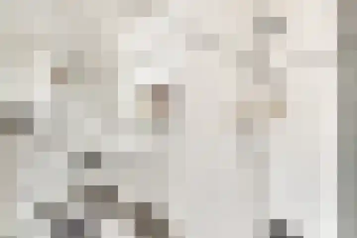 Cameliastraat 45 Hilversum thumbnail 12