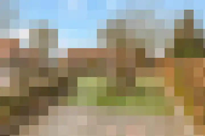 Cameliastraat 45 Hilversum thumbnail 16