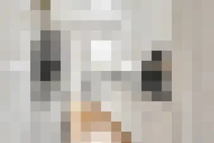 Cameliastraat 45 Hilversum thumbnail 4