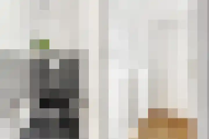 Cameliastraat 45 Hilversum thumbnail 5