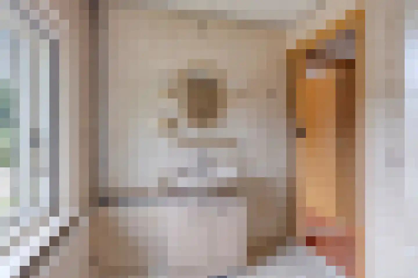 Cameliastraat 8 Son en Breugel thumbnail 17