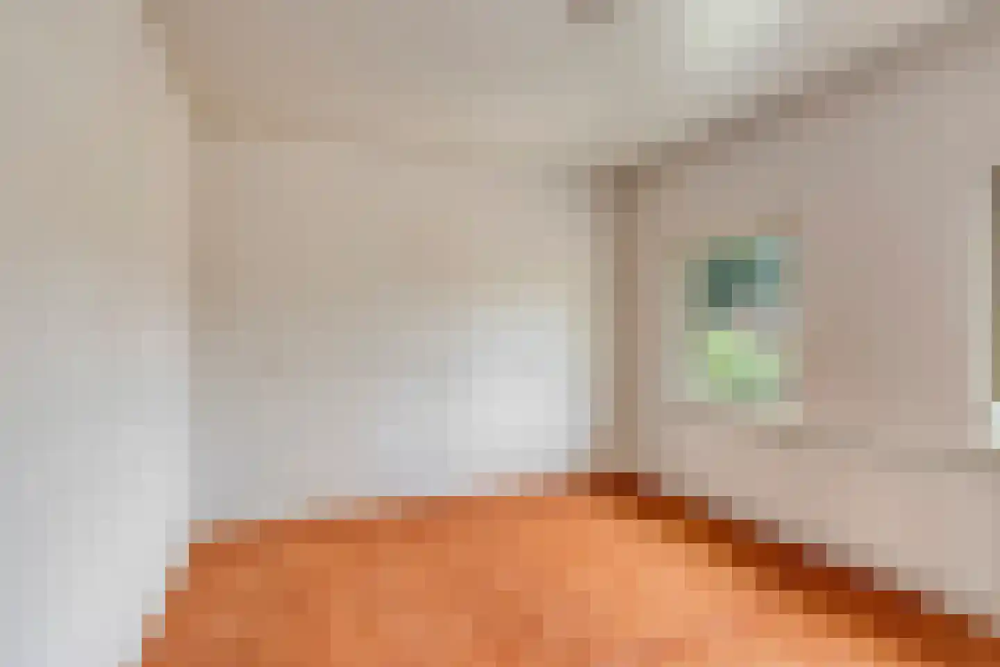 Cameliastraat 8 Son en Breugel thumbnail 19