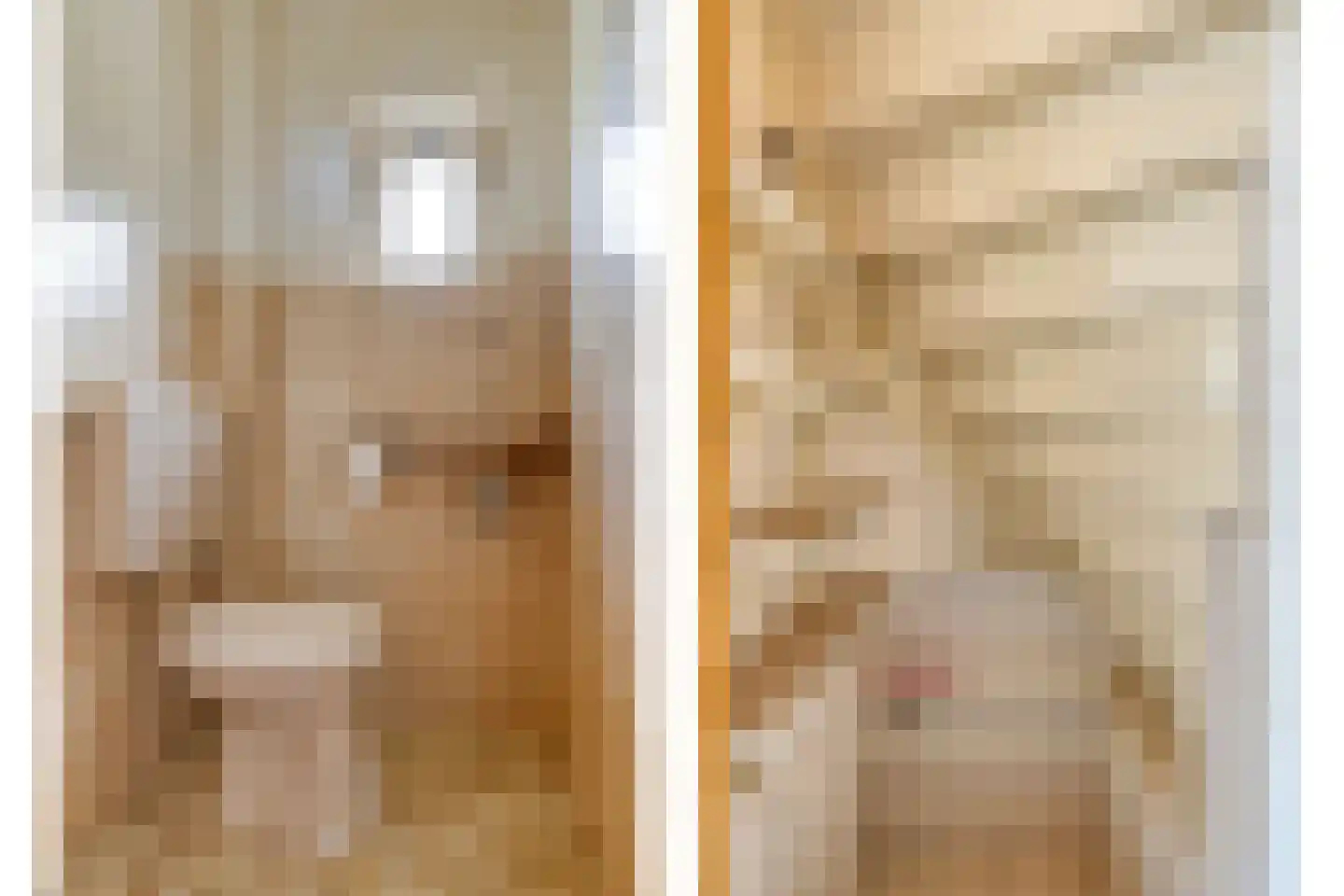 Cameliastraat 8 Son en Breugel thumbnail 7