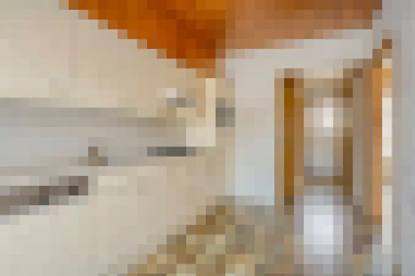 Cameliastraat 8 Son en Breugel thumbnail 9
