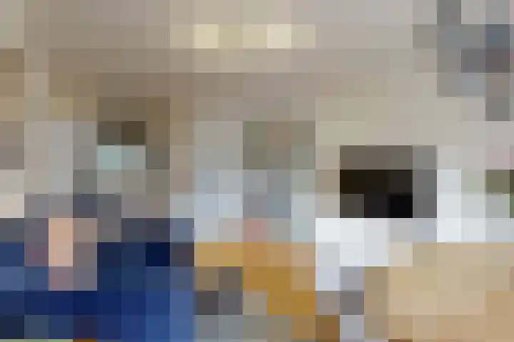 Camera Obscuralaan 232 Amstelveen thumbnail 7