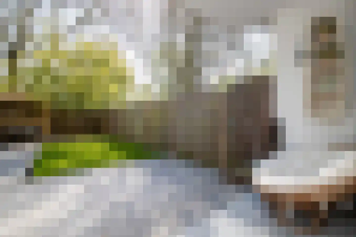 Camera Obscuralaan 282 Amstelveen thumbnail 28