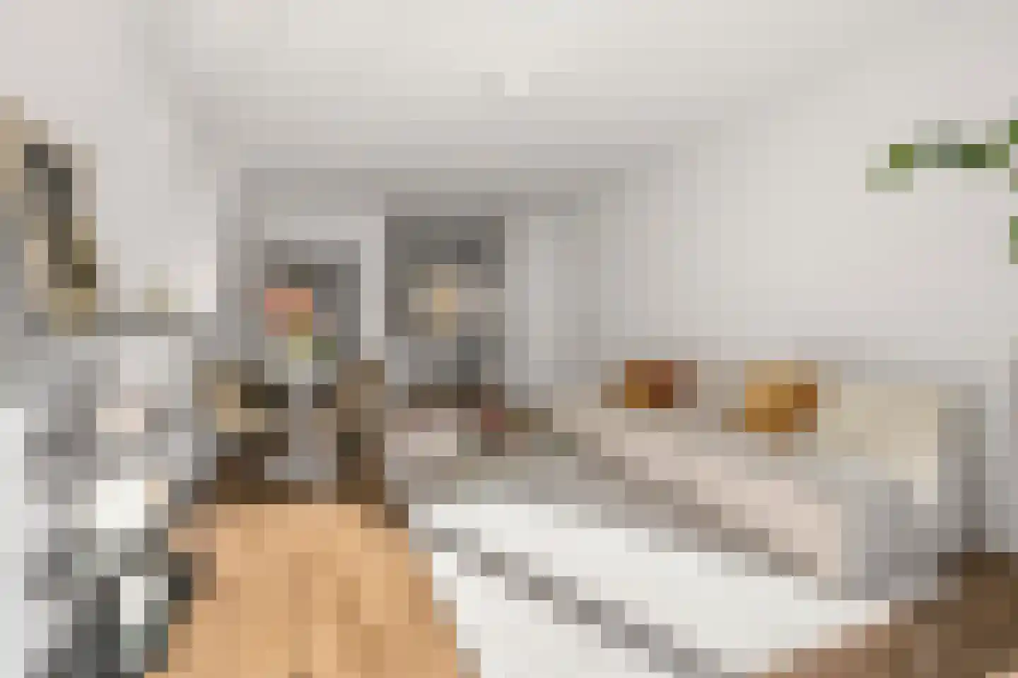Camera Obscuralaan 300 Amstelveen thumbnail 6