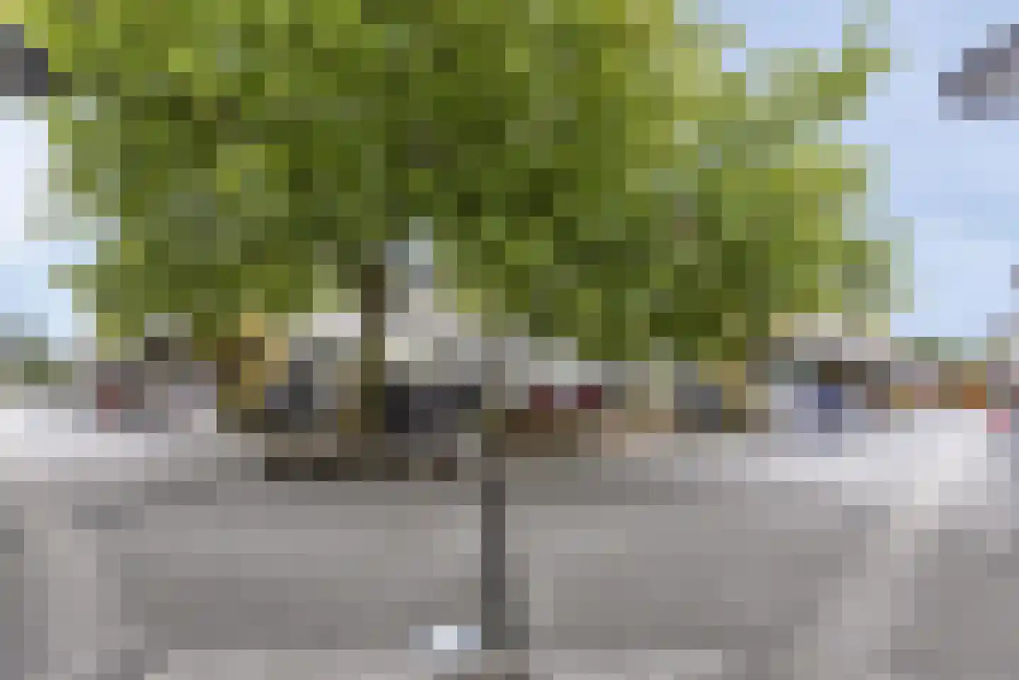 Camera Obscurastraat 130 Amersfoort thumbnail 25
