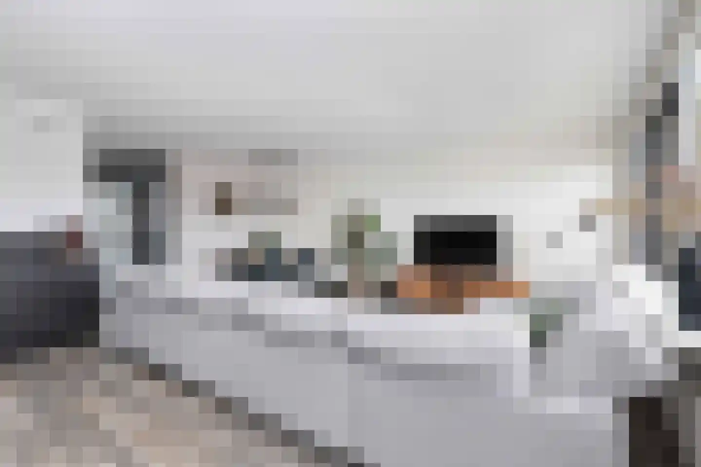 Camera Obscurastraat 201 Amersfoort thumbnail 11