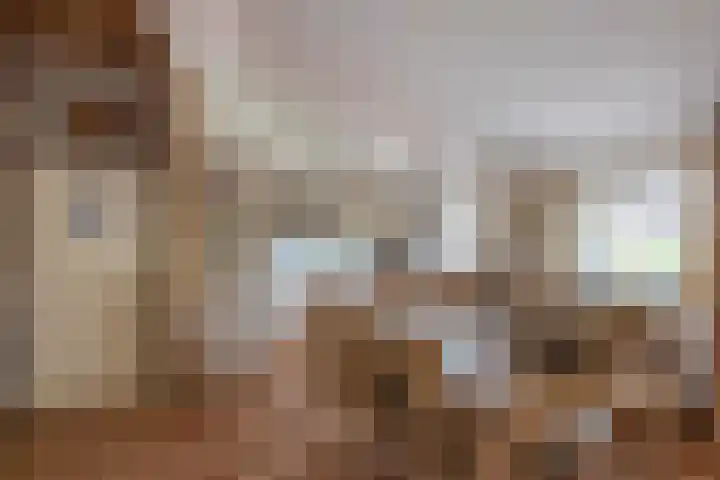 Camerig 14 Vijlen thumbnail 10