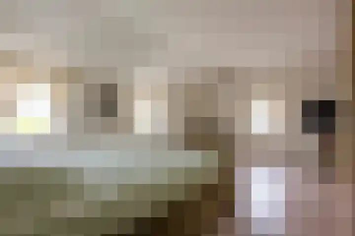 Camerig 14 Vijlen thumbnail 17