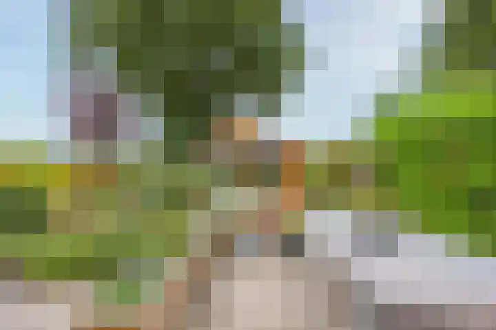 Camerig 14 Vijlen thumbnail 20