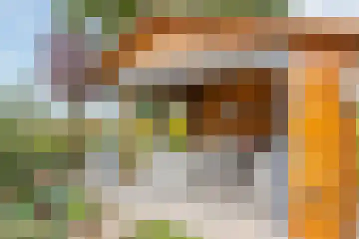 Camerig 14 Vijlen thumbnail 21