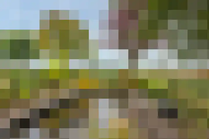 Camerig 14 Vijlen thumbnail 22
