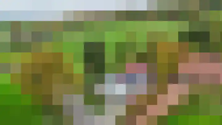 Camerig 14 Vijlen thumbnail 24