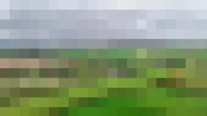 Camerig 14 Vijlen thumbnail 27