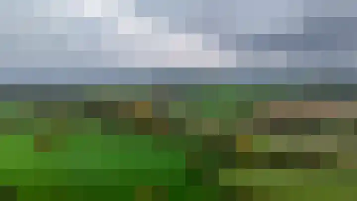 Camerig 14 Vijlen thumbnail 28