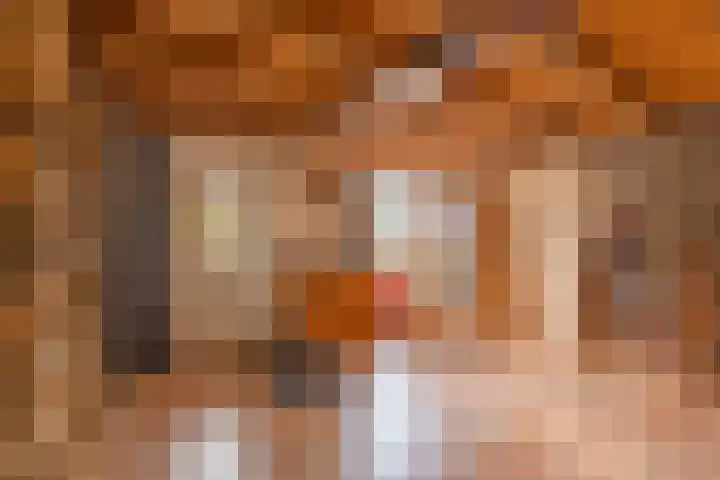 Camerig 14 Vijlen thumbnail 4