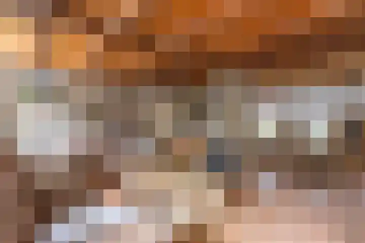 Camerig 14 Vijlen thumbnail 7