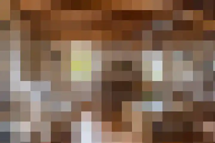 Camerig 14 Vijlen thumbnail 8