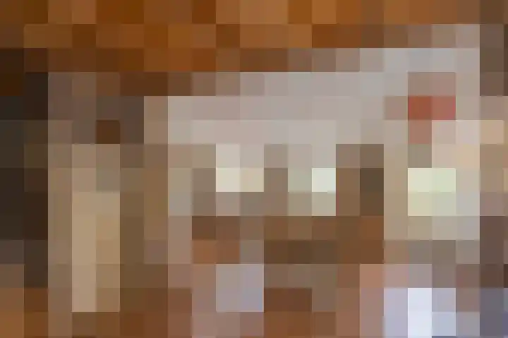 Camerig 14 Vijlen thumbnail 9