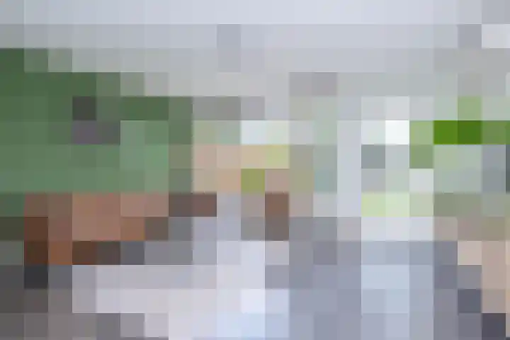 Camerlinghdreef 14 Zuidwolde thumbnail 10