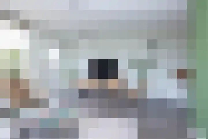 Camerlinghdreef 14 Zuidwolde thumbnail 12