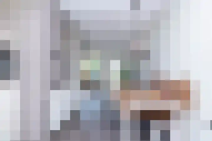 Camerlinghdreef 14 Zuidwolde thumbnail 15